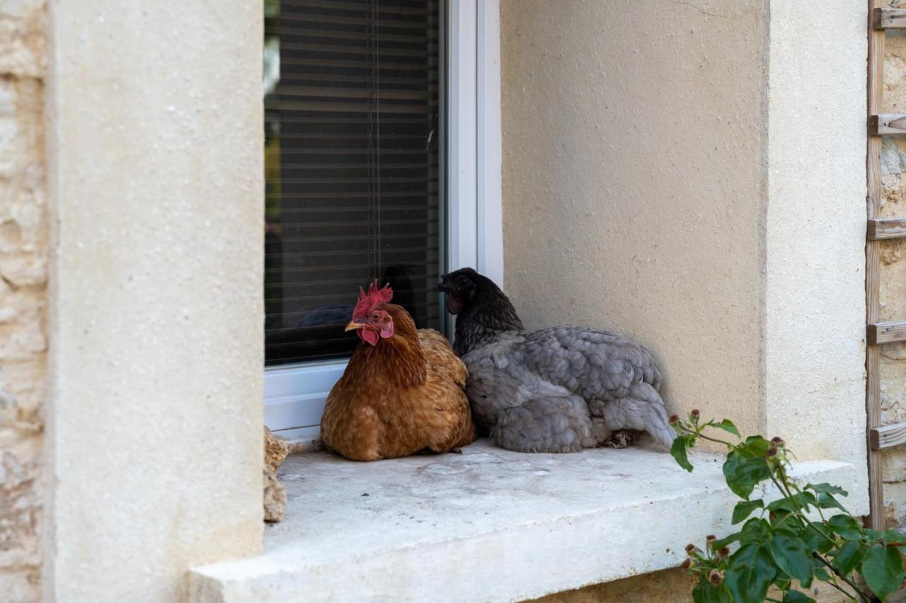 La Fralinette Bed & Breakfast Fralignes Luaran gambar